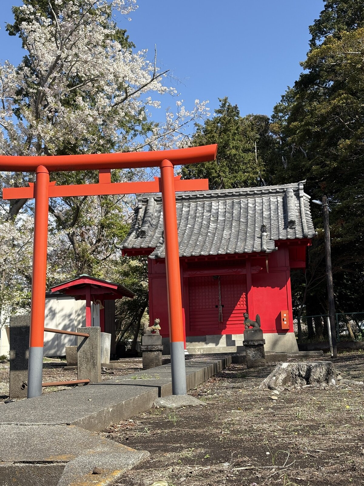 新学期が始まります。